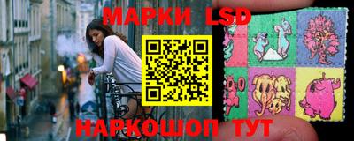 индика Партизанск