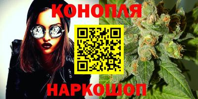 индика Партизанск